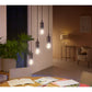 Philips Hue White Ambiance Filament A60 E27 smart LED-pære – 550 lm, Bluetooth og Zigbee